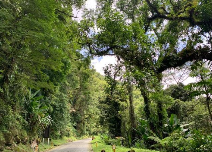 Parada na Estrada da Graciosa