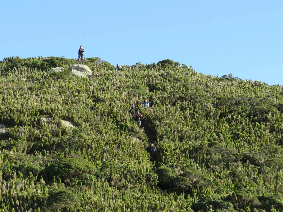 Pico Itapiroca