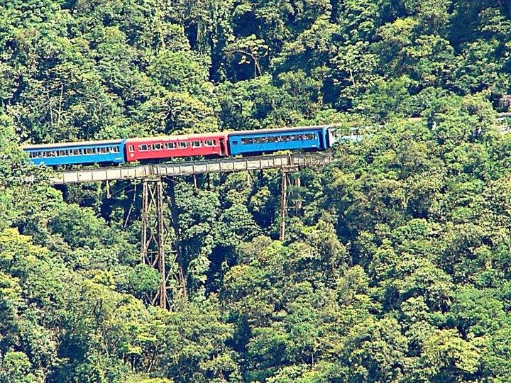 Trem Corporativo
