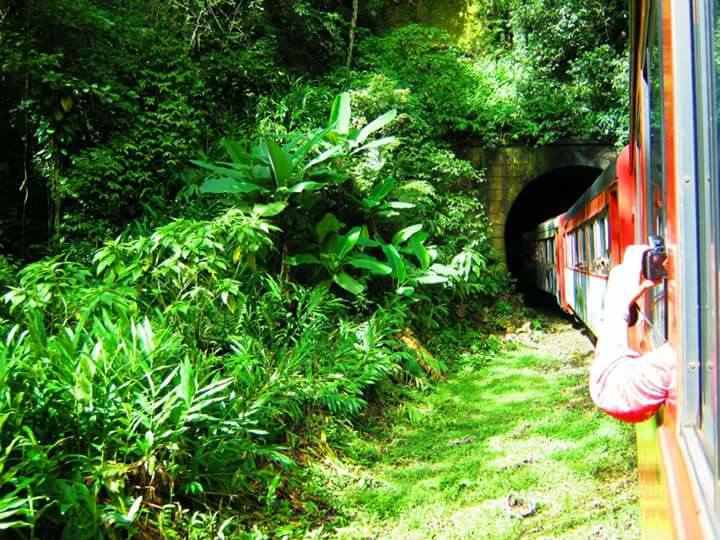 Trem Serra do Mar