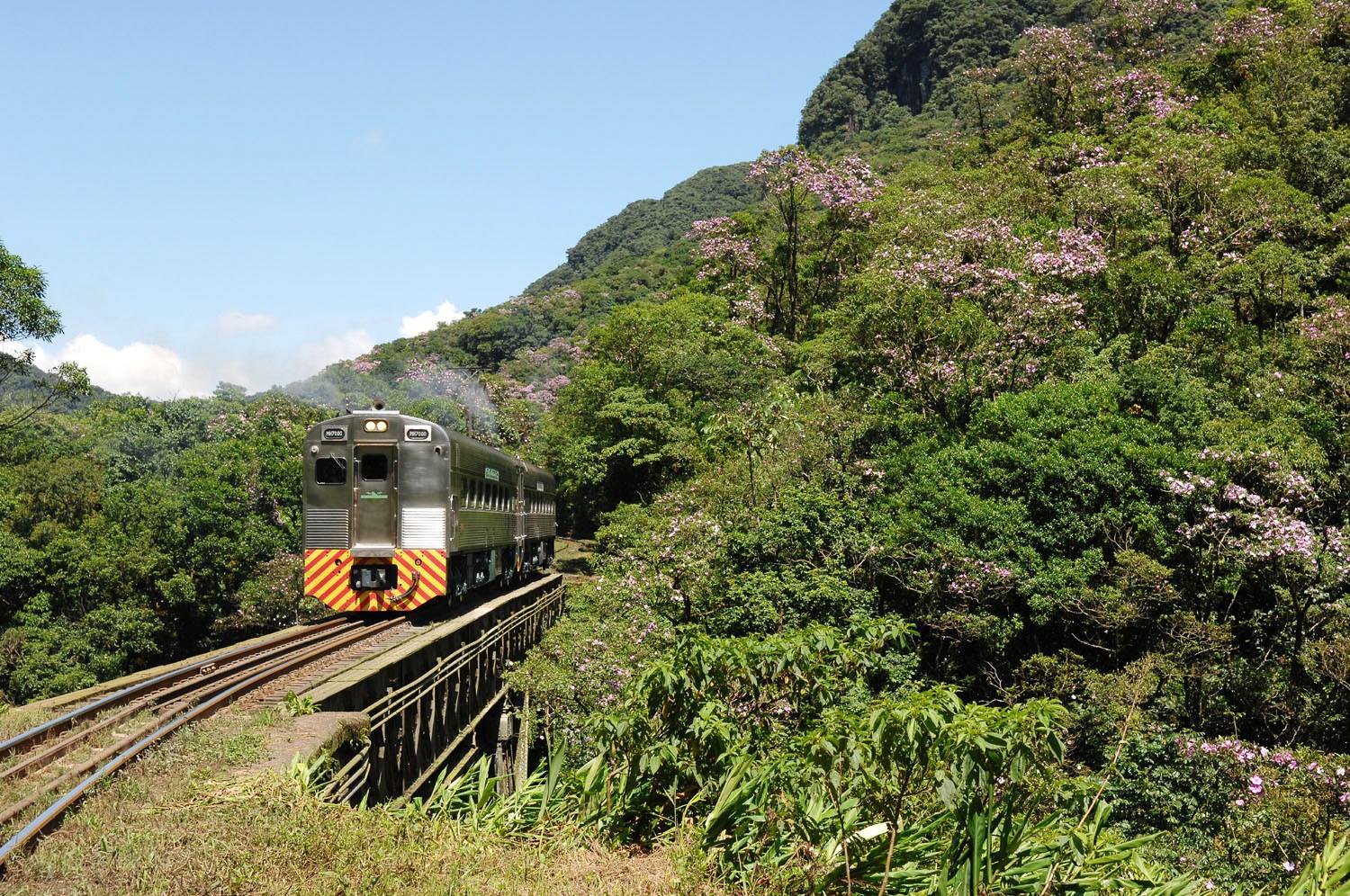 Trem Serra do Mar