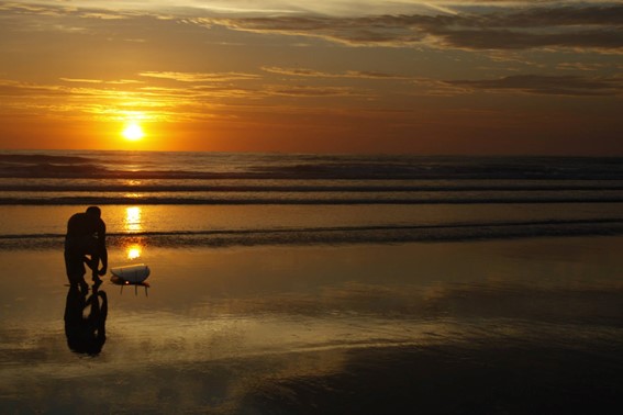 Imagem1