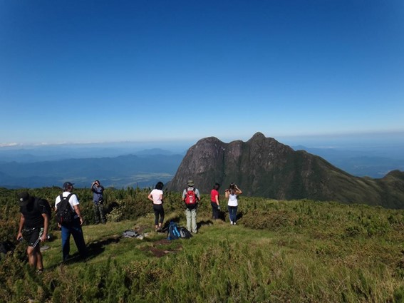 Imagem1