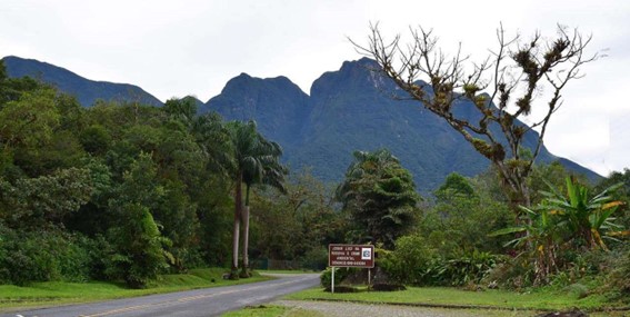 Imagem2