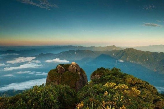 Imagem2