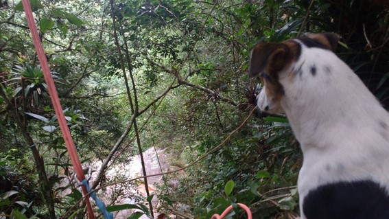 Imagem3