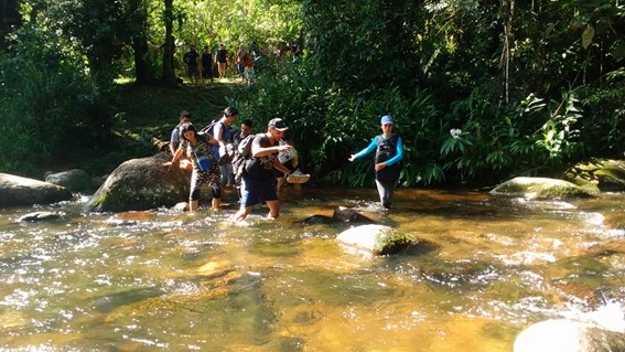 Imagem3