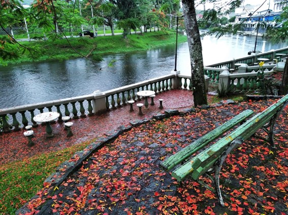 Imagem3