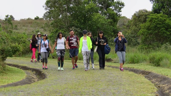 Imagem3