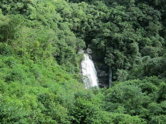 Imagem3
