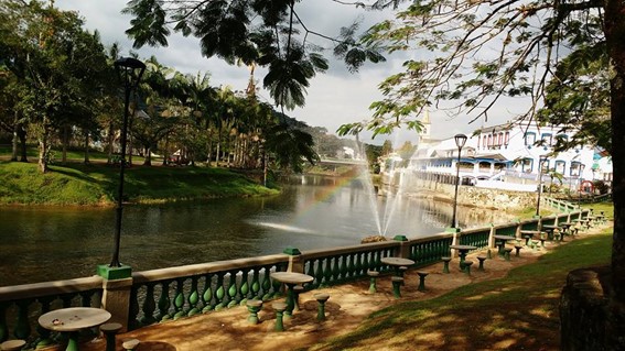 Imagem3