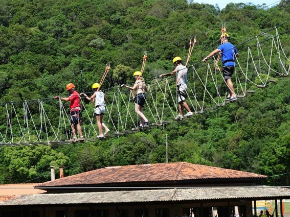 Imagem5
