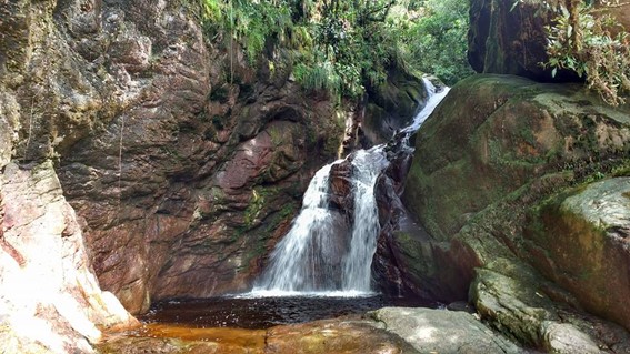 Imagem5