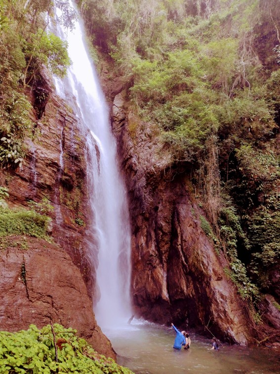 Imagem5