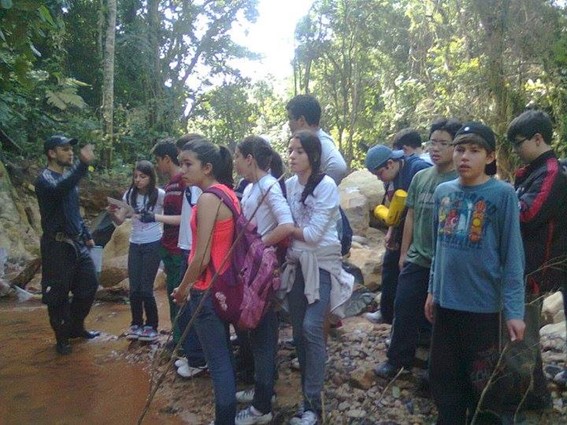 Imagem5