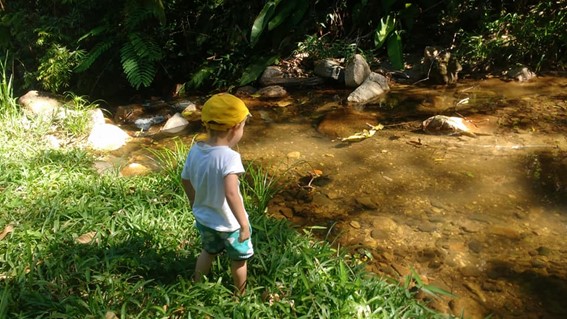 Imagem5