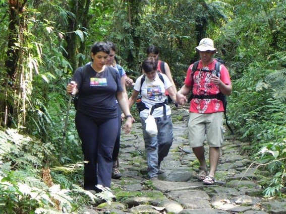 Imagem6