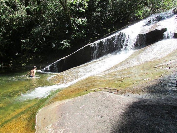 Imagem6