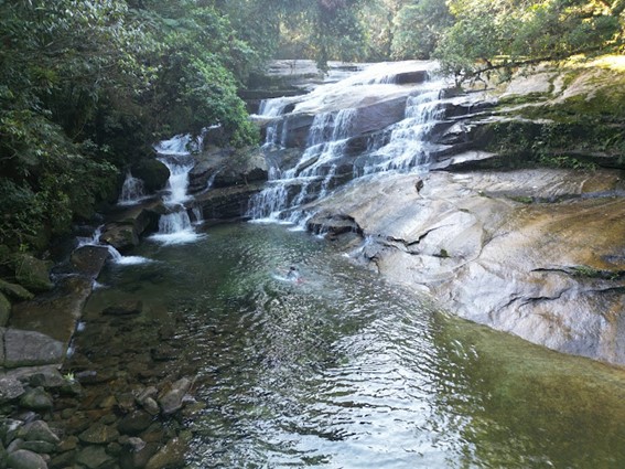 Imagem7